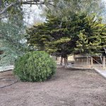 Satılır 7 otaqlı Həyət evi/villa, Bilgəh qəs., Sabunçu rayonu 10