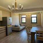 Kirayə (aylıq) 1 otaqlı Yeni Tikili, Nəsimi rayonu 6