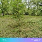 Satılır Torpaq Quba 3