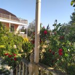 Kirayə (aylıq) 4 otaqlı Bağ evi, Goradil, Abşeron rayonu 11