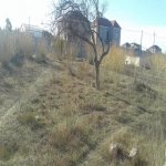 Satılır Torpaq, Şüvəlan, Xəzər rayonu 8