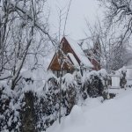 Kirayə (günlük) 3 otaqlı Həyət evi/villa Quba 23