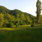 Продажа Участок Гябяля 1