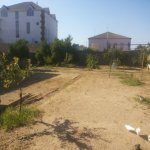 Satılır Torpaq, Maştağa qəs., Sabunçu rayonu 5