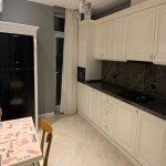 Kirayə (aylıq) 2 otaqlı Yeni Tikili, Xətai rayonu 3