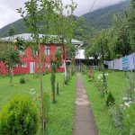 Kirayə (günlük) 4 otaqlı Həyət evi/villa Qax 12