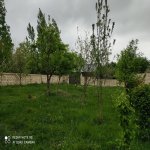 Satılır 3 otaqlı Həyət evi/villa Qəbələ 1