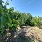 Satılır 3 otaqlı Həyət evi/villa, Koroğlu metrosu, Maştağa qəs., Sabunçu rayonu 7