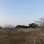 Продажа Участок, пос. Нардаран, Сабунчу район 1