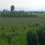 Satılır Torpaq Ağstafa 22