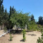 Satılır Torpaq, Şüvəlan, Xəzər rayonu 6