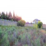 Satılır Torpaq, Novxanı, Abşeron rayonu 11