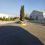 Kirayə (aylıq) Obyekt, Abşeron rayonu 17
