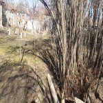 Satılır Torpaq Qəbələ 4