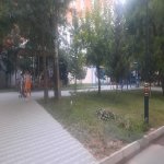 Продажа 2 комнатная Вторичка, м. Мемар Аджеми метро, Насими район 12