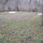 Satılır Torpaq Qəbələ 16