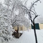 Kirayə (günlük) 3 otaqlı Həyət evi/villa Qəbələ 14