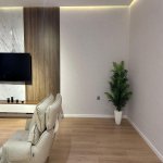 Аренда 2 комнатная Новостройка, м. 20 Января метро, Насими район 17