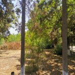 Kirayə (aylıq) 3 otaqlı Bağ evi, Bilgəh qəs., Sea Breeze, Sabunçu rayonu 23