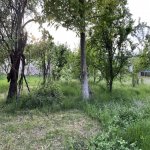 Satılır 4 otaqlı Həyət evi/villa İsmayıllı 13
