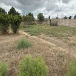 Satılır Torpaq, Maştağa qəs., Sabunçu rayonu 6