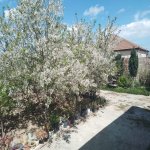 Satılır 3 otaqlı Bağ evi, Buzovna, Xəzər rayonu 29