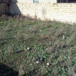 Satılır Torpaq, Masazır, Abşeron rayonu 5