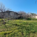 Satılır Torpaq, Novxanı, Abşeron rayonu 8