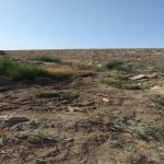 Satılır Torpaq, Mərdəkan, Xəzər rayonu 4