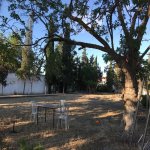 Satılır 6 otaqlı Bağ evi, Şüvəlan, Xəzər rayonu 30