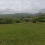 Satılır Torpaq İsmayıllı 11