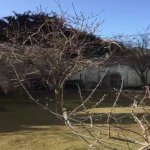 Satılır 8 otaqlı Həyət evi/villa, Badamdar qəs., Səbail rayonu 6