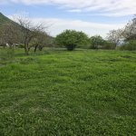 Satılır Torpaq Qəbələ 1