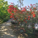 Satılır 6 otaqlı Bağ evi, Novxanı, Abşeron rayonu 8