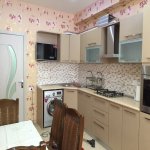 Kirayə (günlük) 2 otaqlı Yeni Tikili, Nəsimi metrosu, Kubinka, Nəsimi rayonu 4
