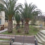 Satılır 10 otaqlı Bağ evi, Mərdəkan, Xəzər rayonu 19