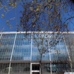 Аренда 2 комнат Офис, м. 28 Мая метро, Насими район 27