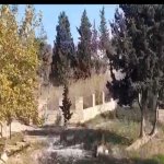 Satılır Torpaq, Novxanı, Abşeron rayonu 4