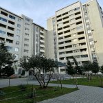 Kirayə (aylıq) 2 otaqlı Yeni Tikili, İnşaatçılar metrosu, Yasamal rayonu 1