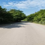 Satılır Torpaq Quba 4