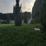 Satılır 4 otaqlı Bağ evi, Goradil, Abşeron rayonu 46