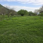 Satılır Torpaq Qəbələ 1