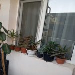Продажа 3 комнат Новостройка, м. Ази Асланова метро, Хетаи район 12