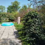 Kirayə (günlük) 3 otaqlı Bağ evi Lənkəran 21