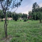 Satılır Torpaq Qəbələ 2
