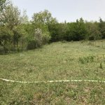 Satılır Torpaq Quba 4