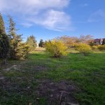 Satılır 10 otaqlı Həyət evi/villa, Saray, Abşeron rayonu 18