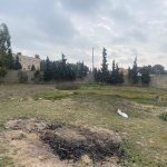 Satılır Torpaq, Mərdəkan, Xəzər rayonu 8