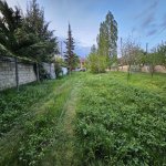 Satılır Torpaq Qəbələ 10