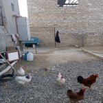 Satılır 3 otaqlı Həyət evi/villa, Kürdəxanı qəs., Sabunçu rayonu 13